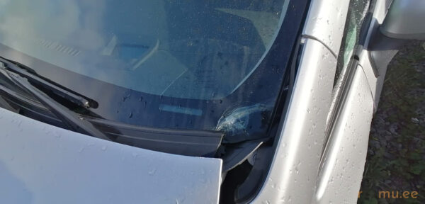 Toyota Prius (2010) - Image 6