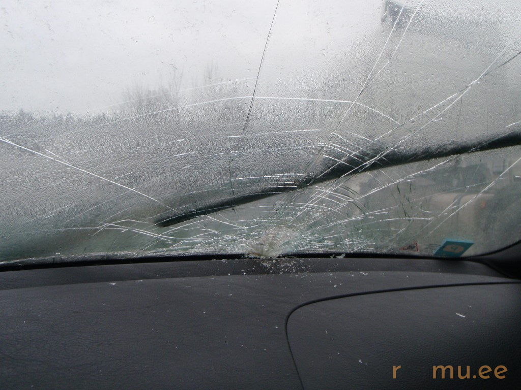 BMW 318i (2005) — изображение 10