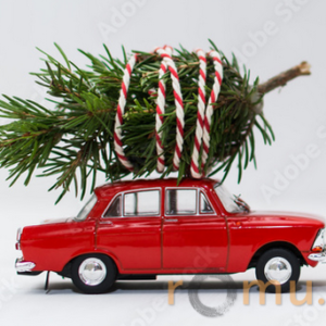 22.12-26.12 & 31.12-2.01 UŽDARYTA