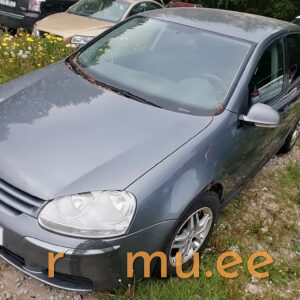 Volkswagen Golf 4x4 (2004)
