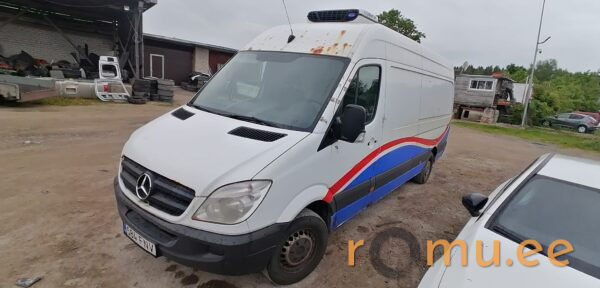 Mercedes-Benz Sprinter 316 NGT (2011)