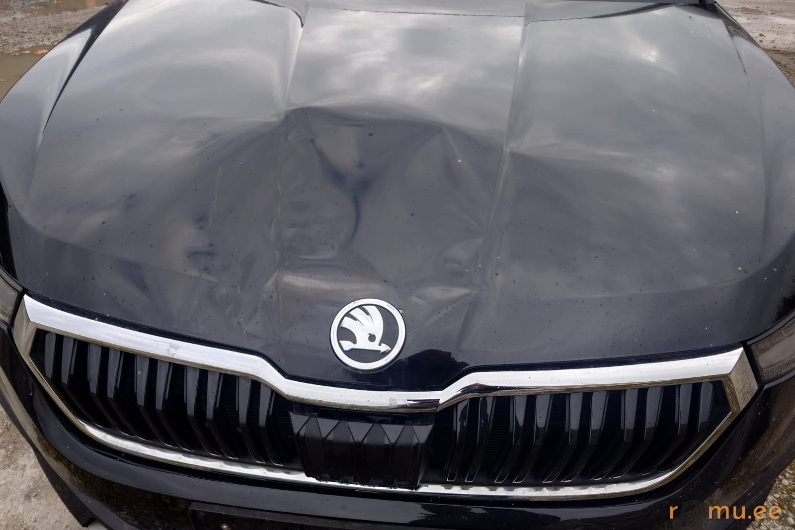 Skoda Kodiaq (2023) — изображение 6