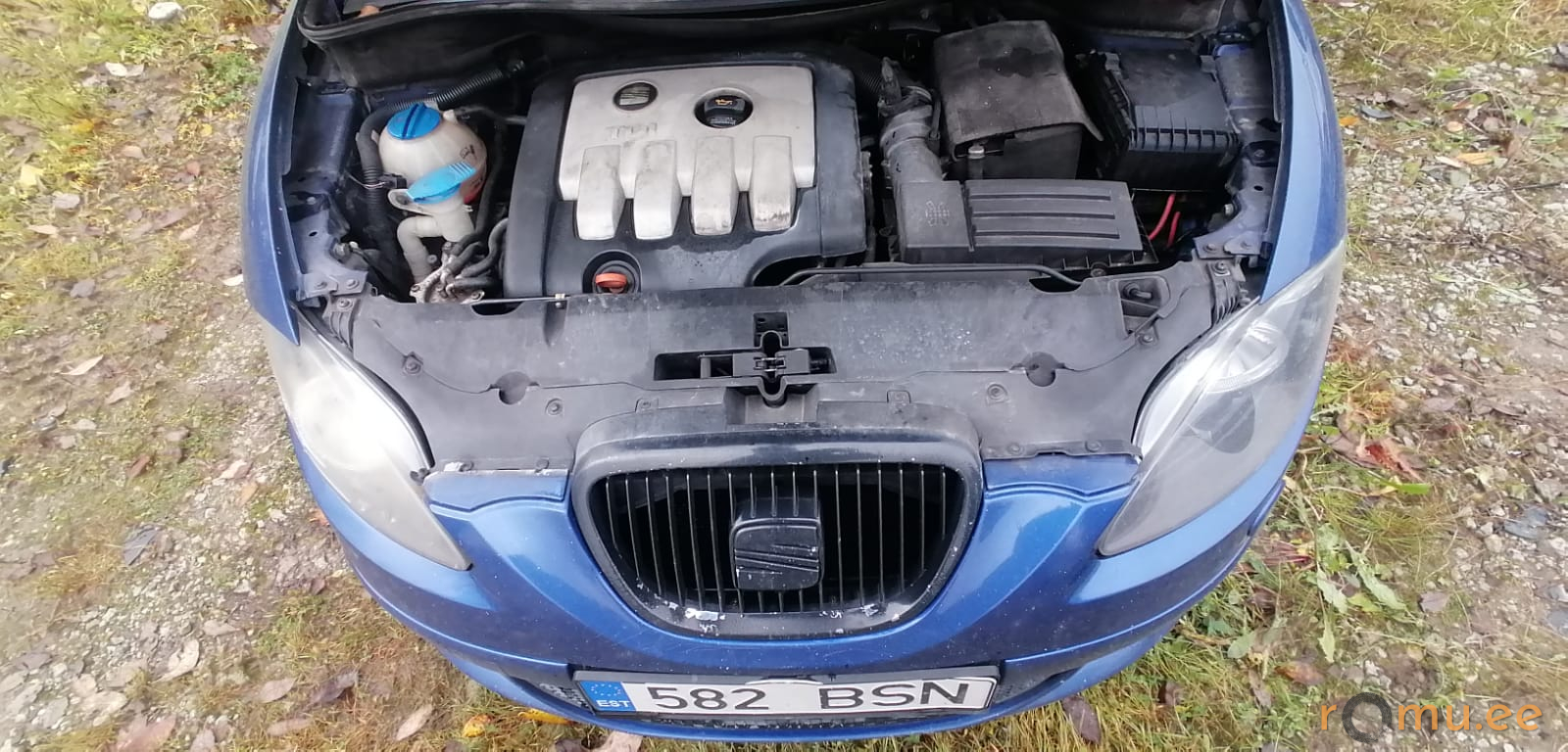 Seat Altea (2005) - Image 7