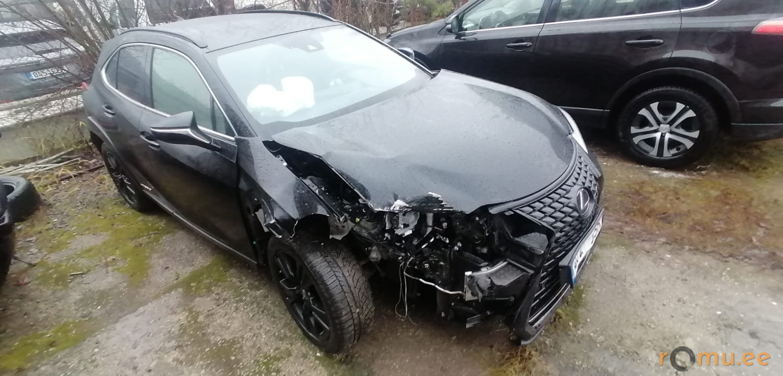 Lexus UX250h (2022) - Image 2