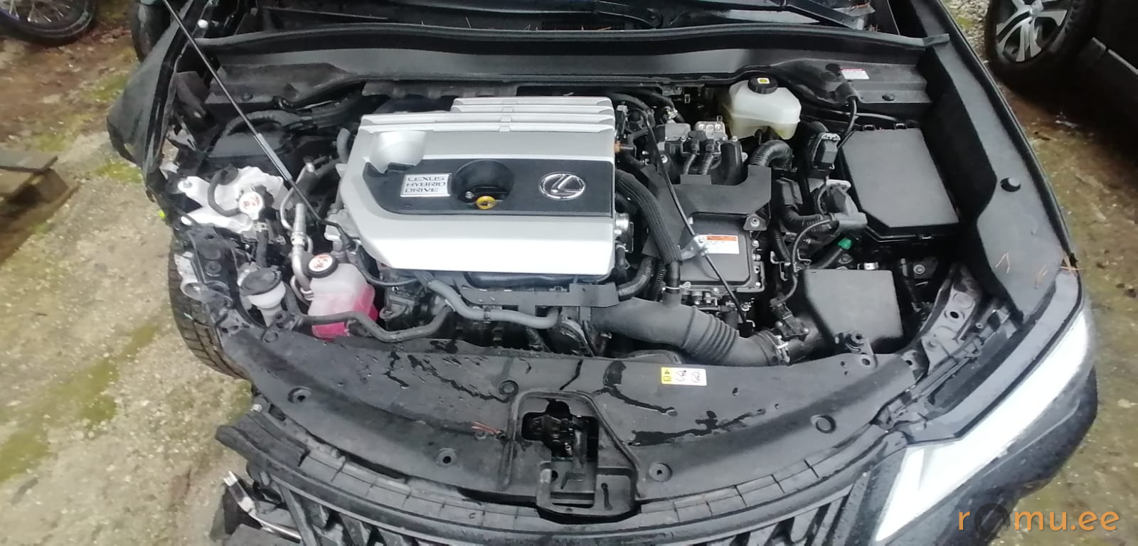 Lexus UX250h (2022) - Image 6