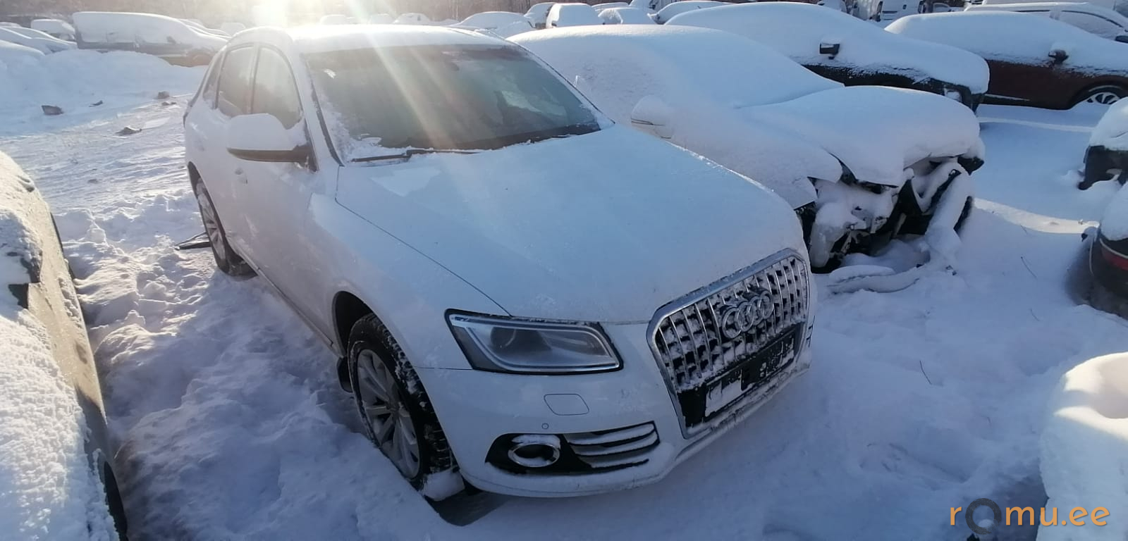 Audi Q5 (2014) - Image 2
