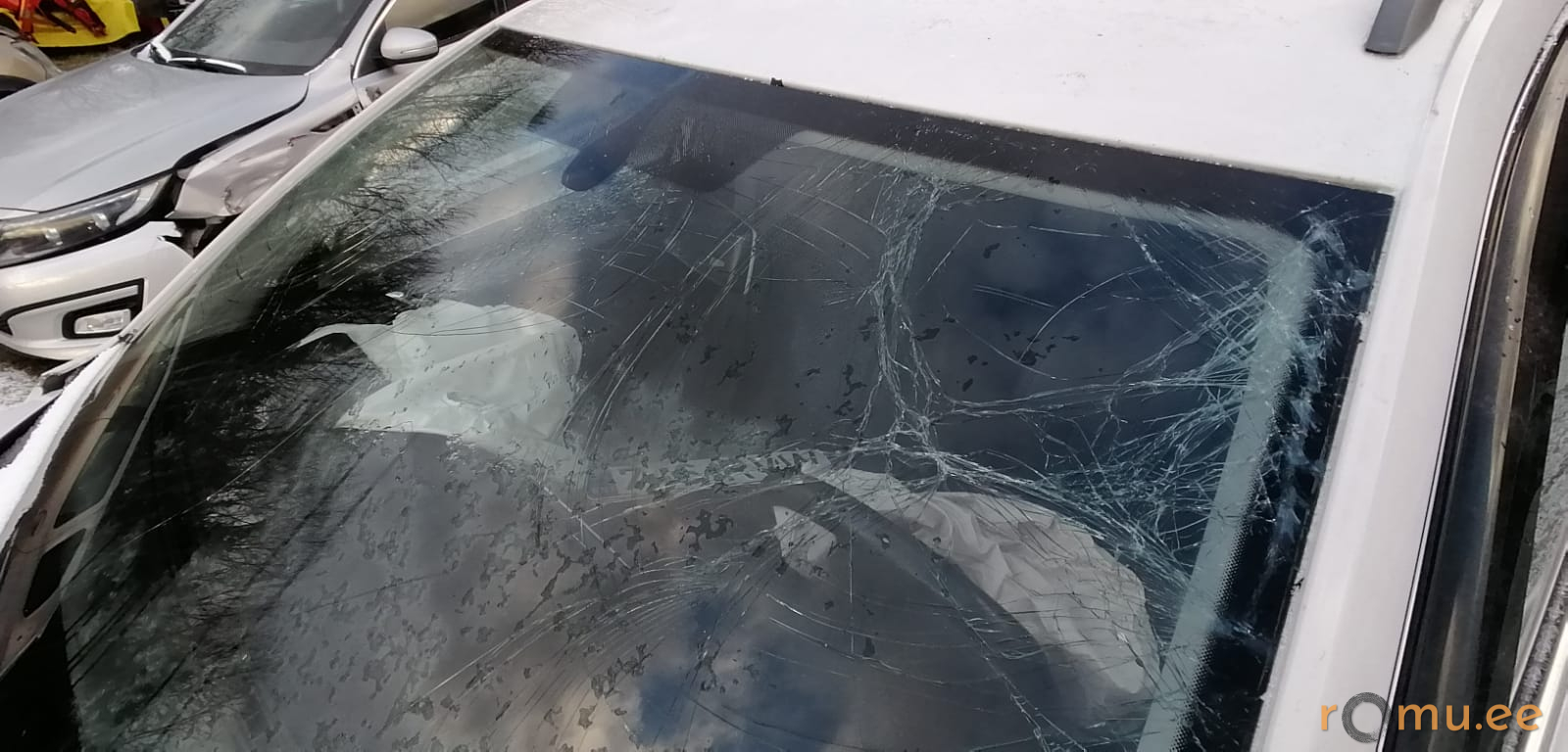 Skoda Octavia (2015) — изображение 5