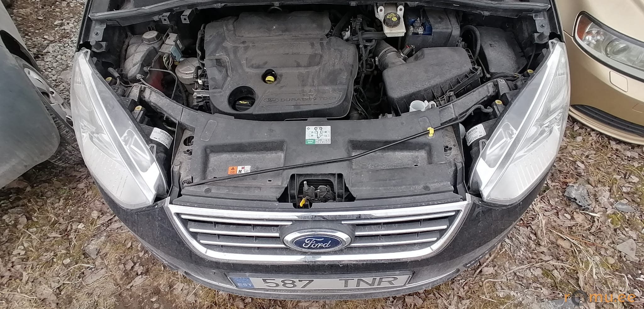 Ford Galaxy (2012) — изображение 5